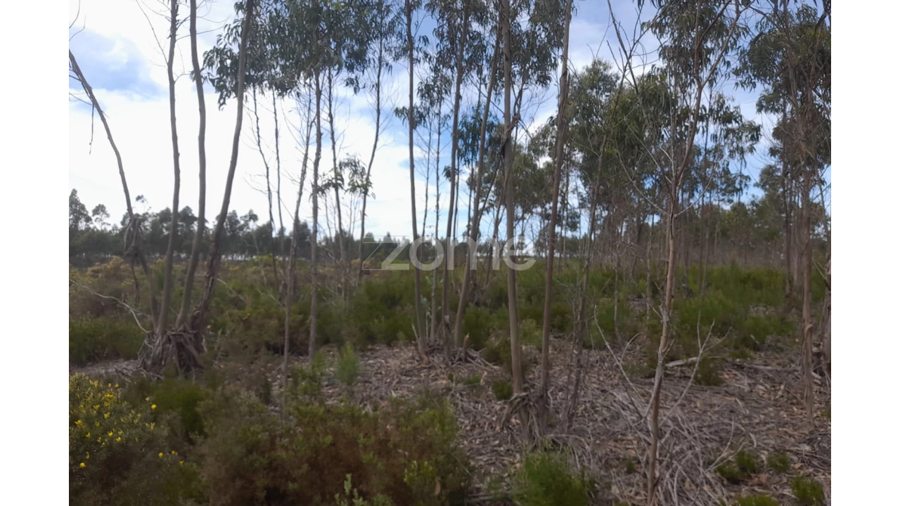 Terreno para Venda em Marinha Grande Foto 20
