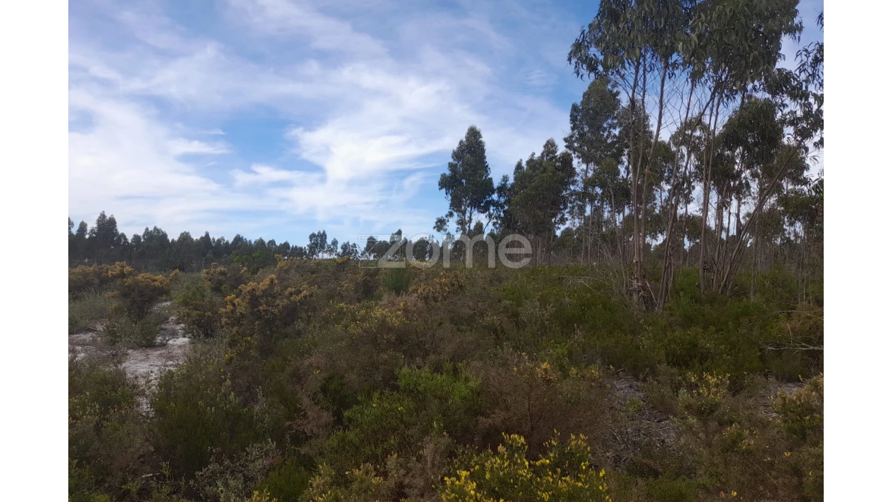 Terreno para Venda em Marinha Grande Foto 21