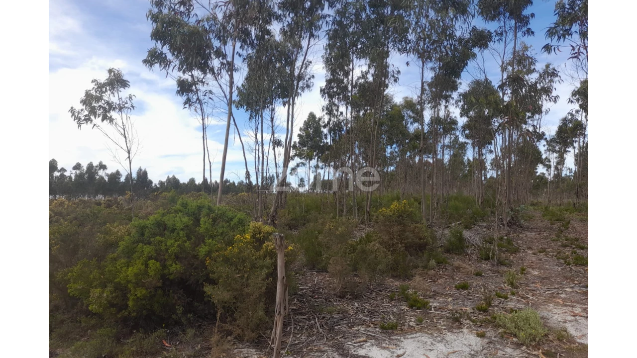 Terreno para Venda em Marinha Grande Foto 22