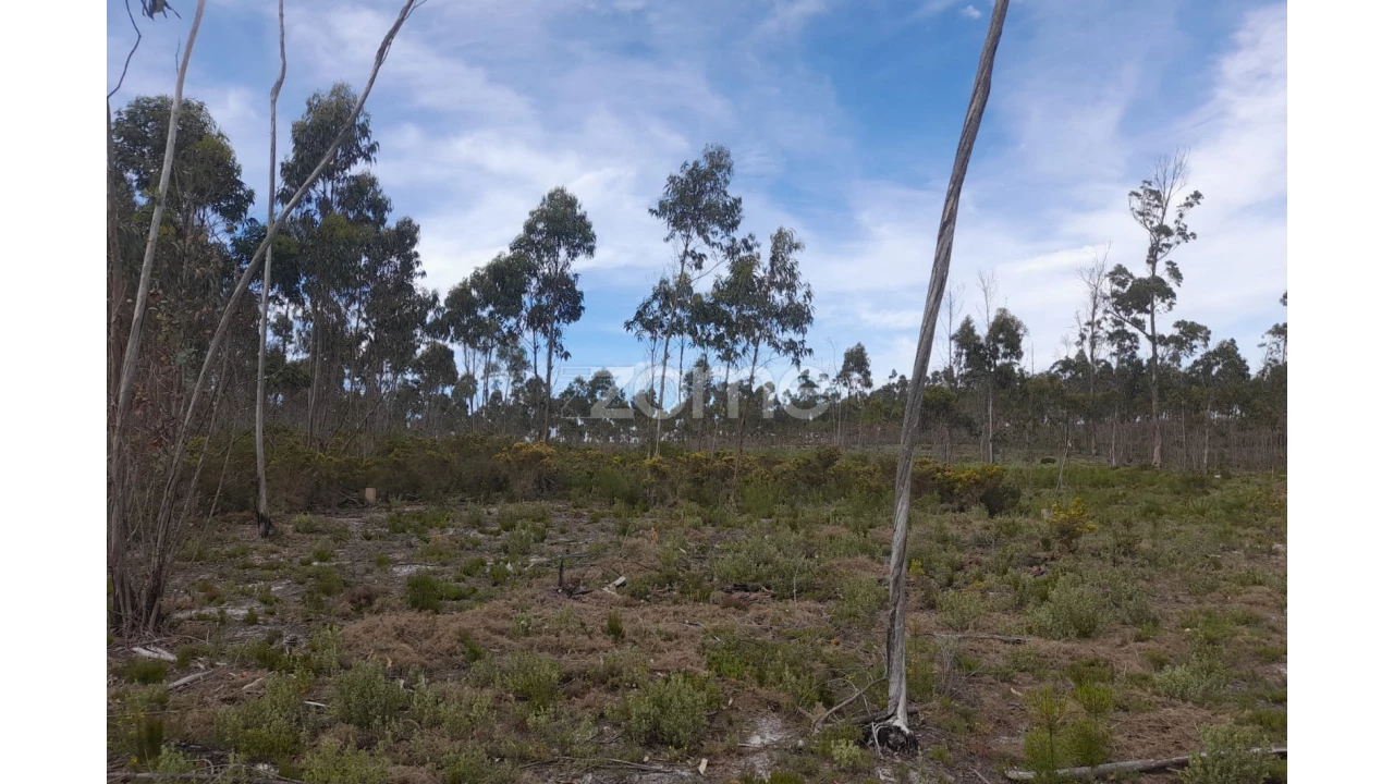 Terreno para Venda em Marinha Grande Foto 7