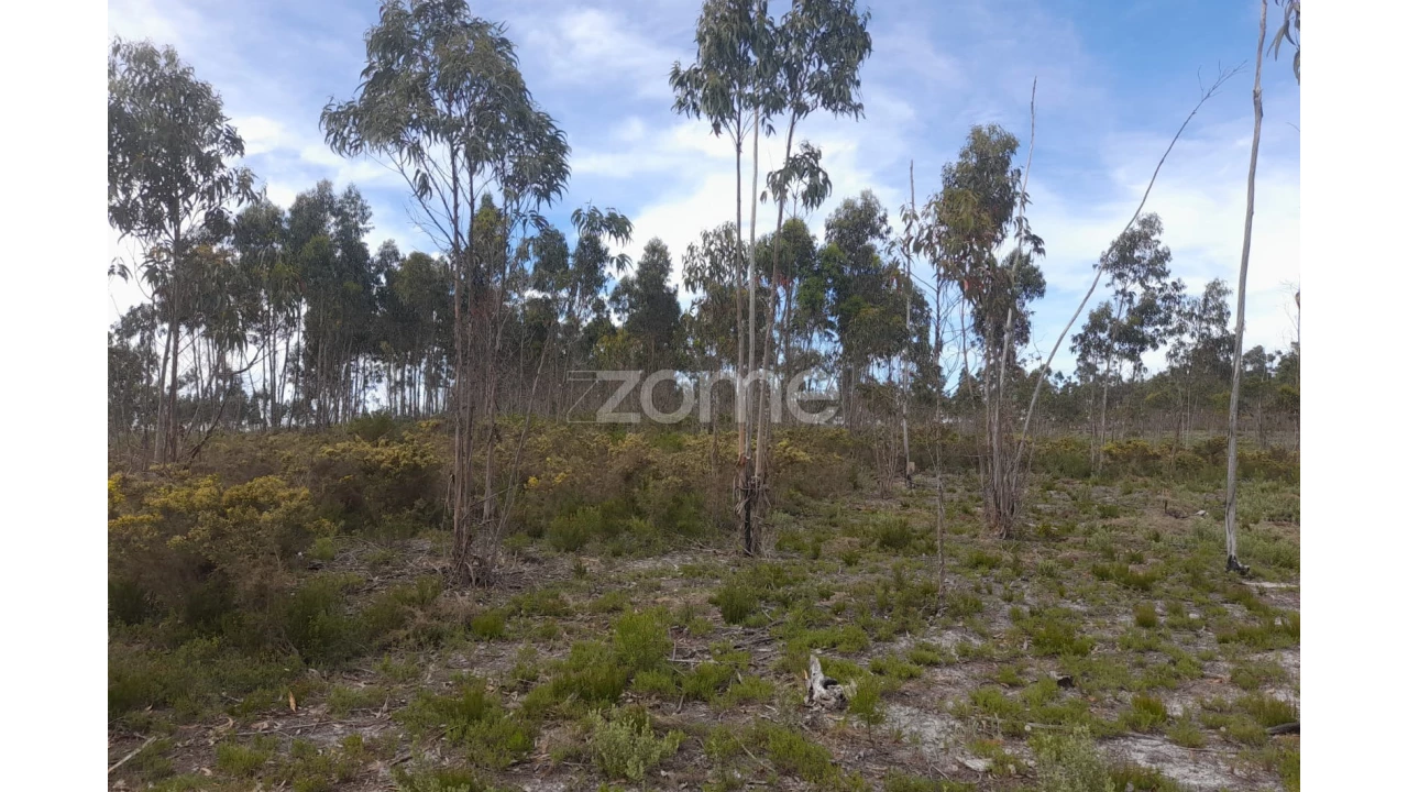 Terreno para Venda em Marinha Grande Foto 9