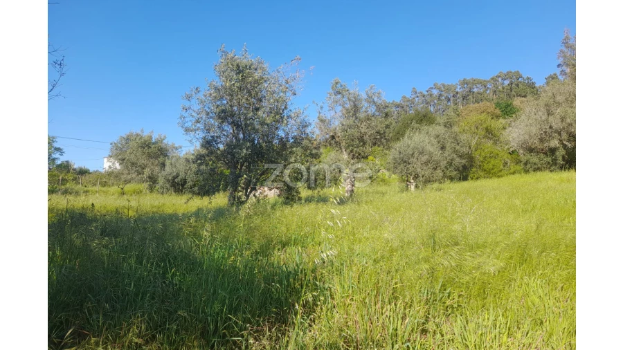 Terreno para Venda em Alvaiázere Foto 11
