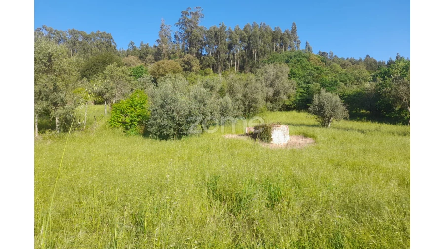 Terreno para Venda em Alvaiázere Foto 18