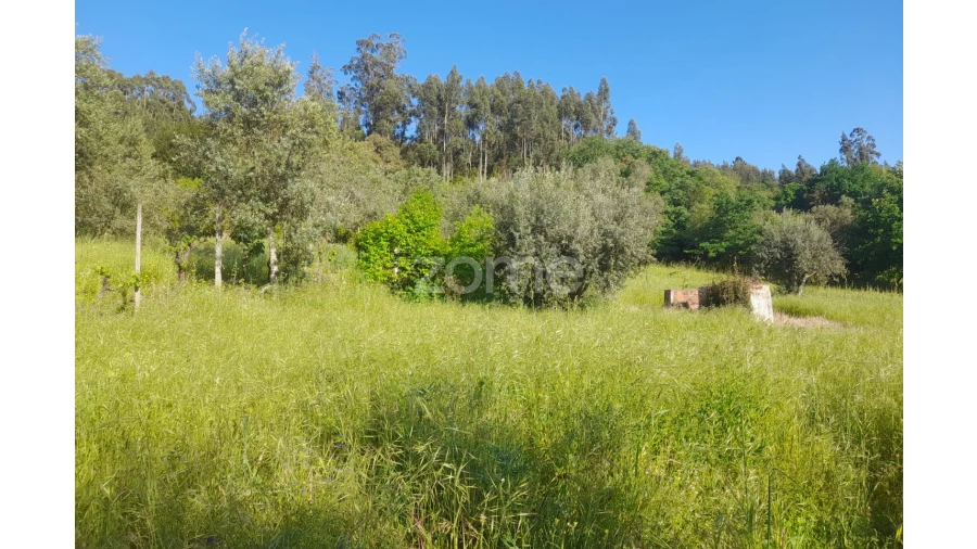 Terreno para Venda em Alvaiázere Foto 3