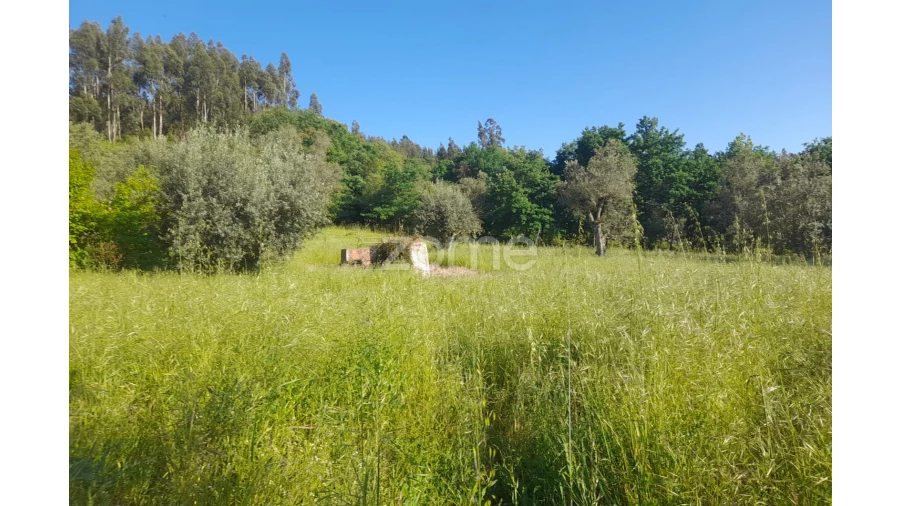 Terreno para Venda em Alvaiázere Foto 21