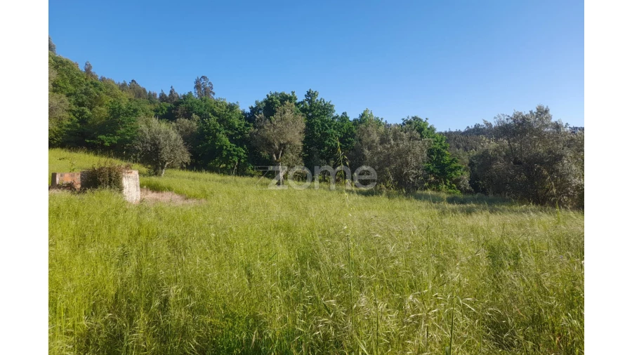 Terreno para Venda em Alvaiázere Foto 22