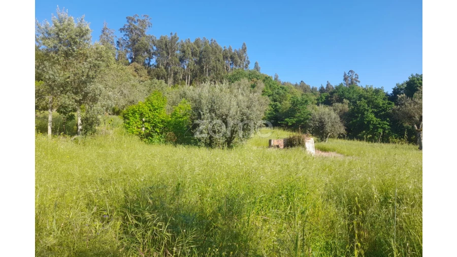 Terreno para Venda em Alvaiázere Foto 23