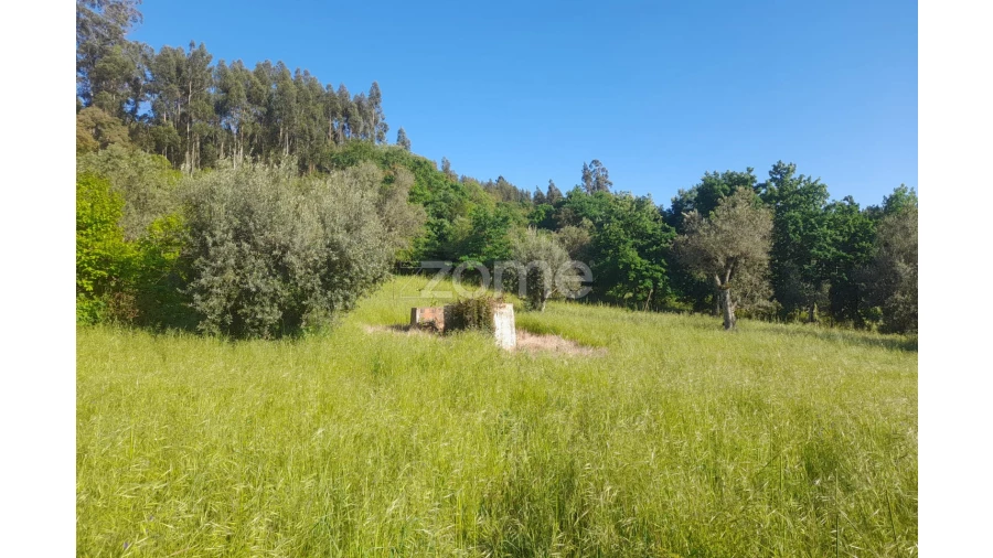 Terreno para Venda em Alvaiázere Foto 2
