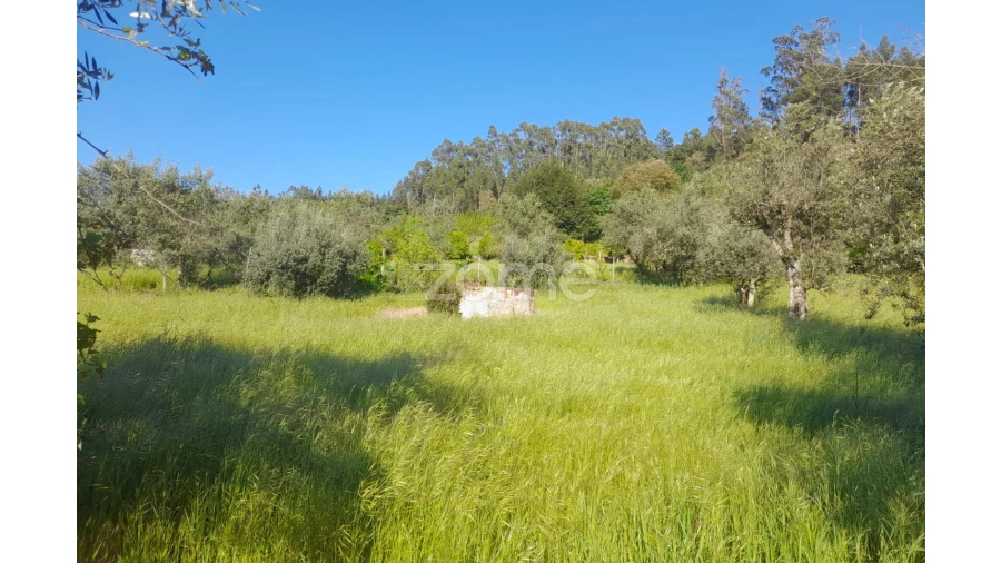 Terreno para Venda em Alvaiázere Foto 6