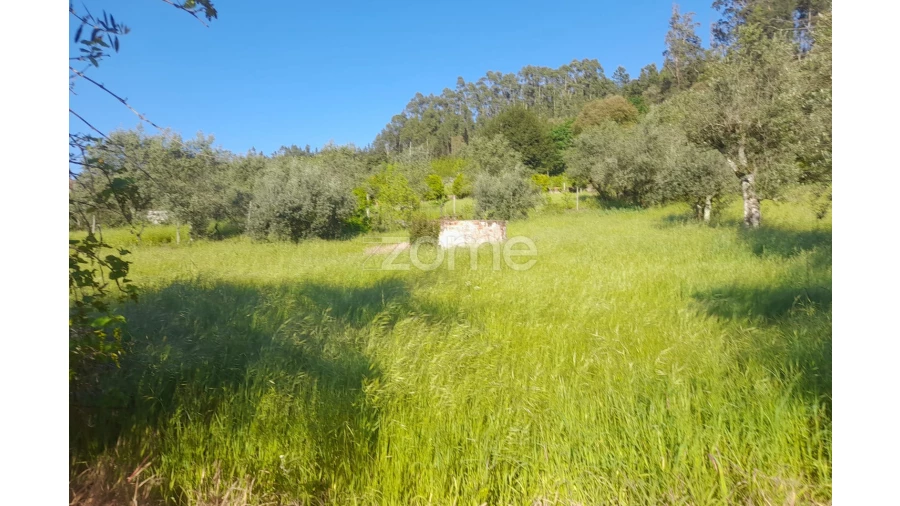 Terreno para Venda em Alvaiázere Foto 7
