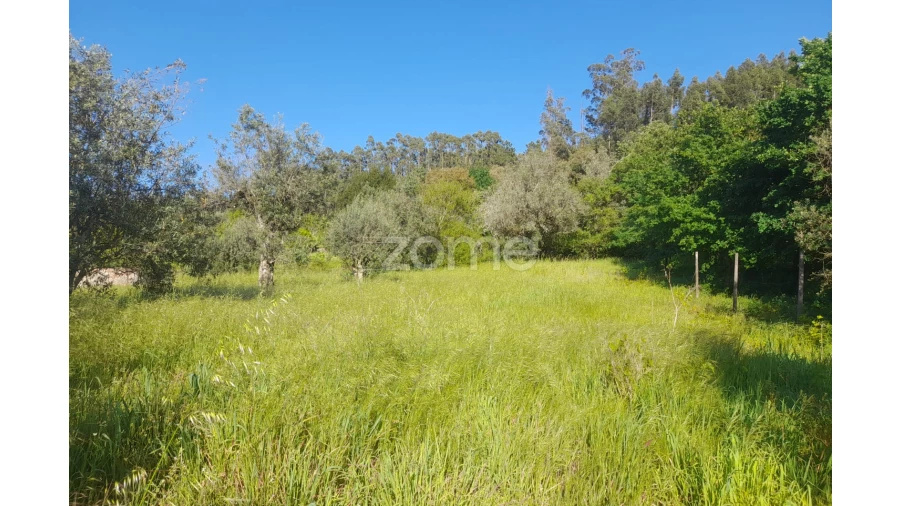 Terreno para Venda em Alvaiázere Foto 10