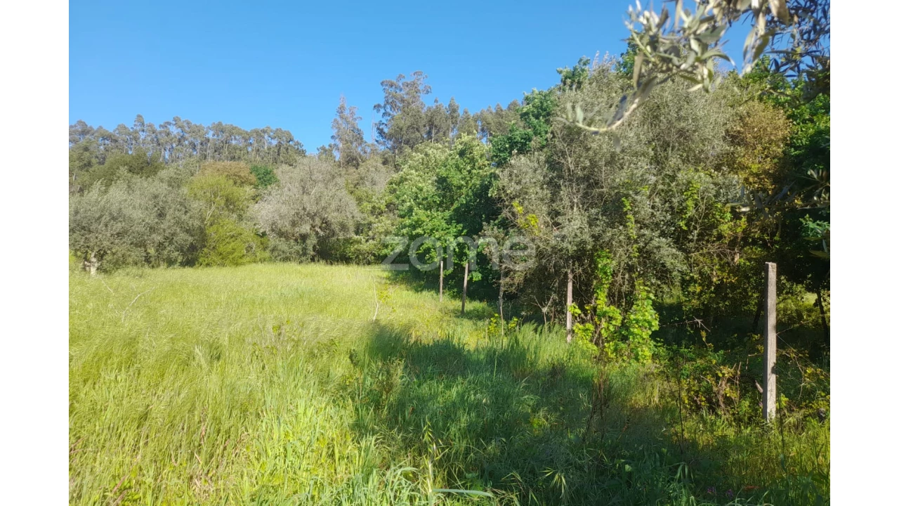 Terreno para Venda em Alvaiázere Foto 11