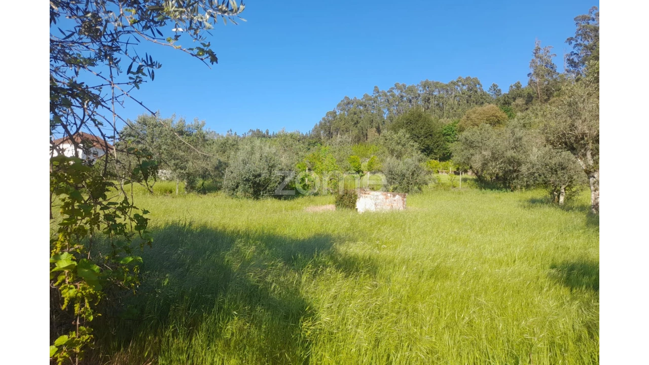 Terreno para Venda em Alvaiázere Foto 13