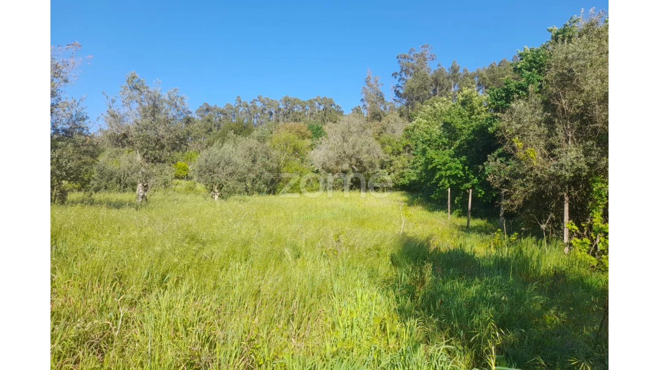 Terreno para Venda em Alvaiázere Foto 14