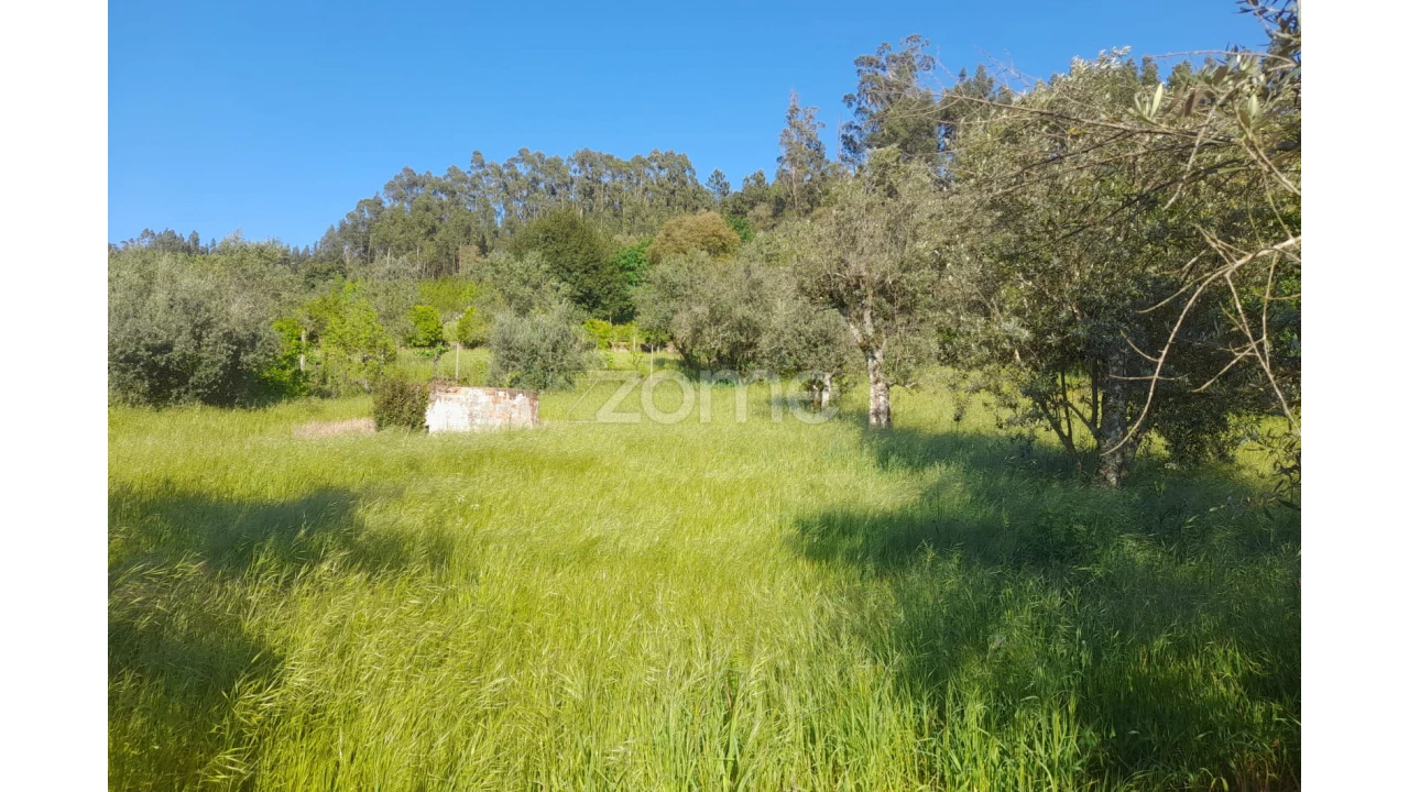 Terreno para Venda em Alvaiázere Foto 16