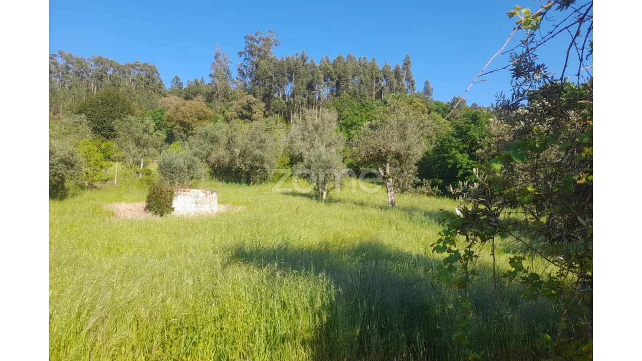 Terreno para Venda em Alvaiázere Foto 17