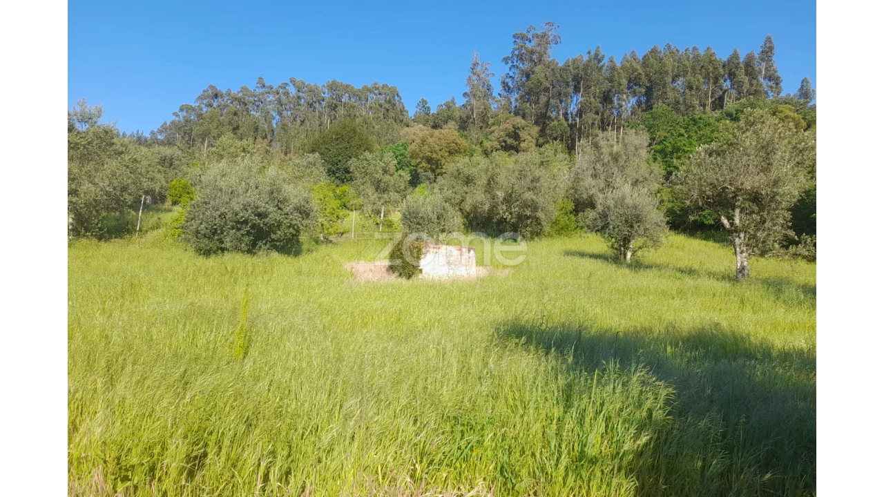 Terreno para Venda em Alvaiázere Foto 19
