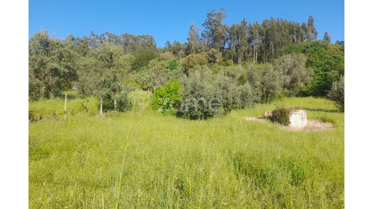 Terreno para Venda em Alvaiázere Foto 20