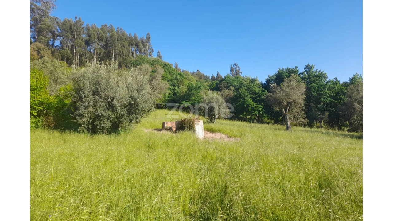 Terreno para Venda em Alvaiázere Foto 2
