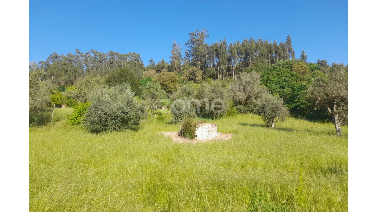 Terreno para Venda em Alvaiázere Foto 4