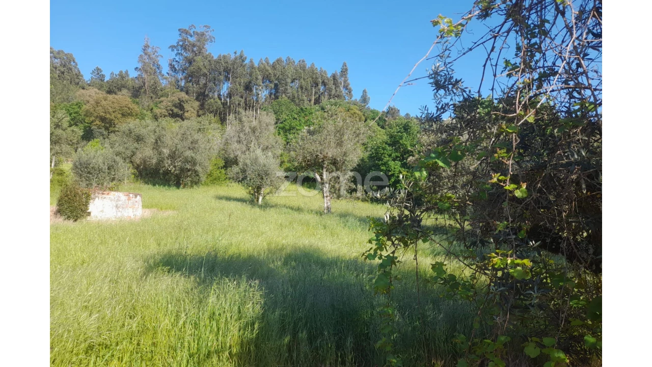 Terreno para Venda em Alvaiázere Foto 5