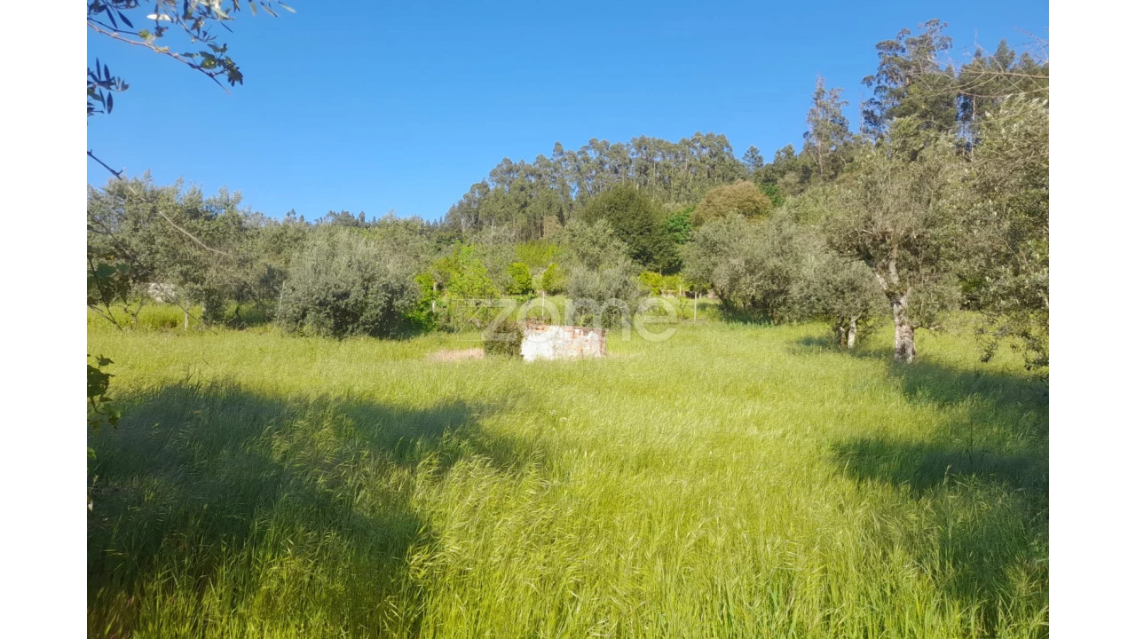 Terreno para Venda em Alvaiázere Foto 6