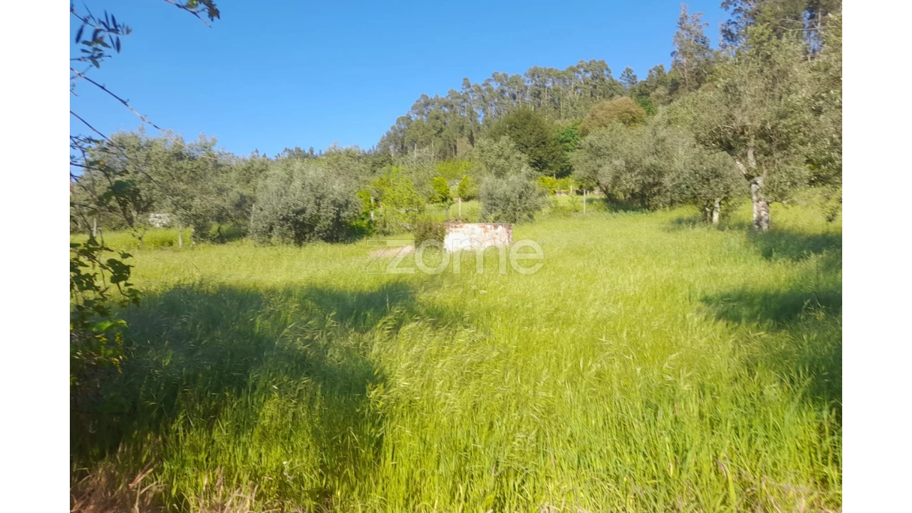 Terreno para Venda em Alvaiázere Foto 1
