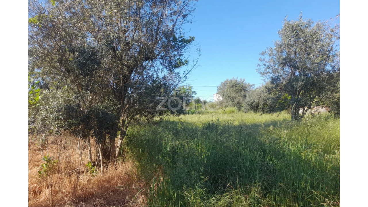 Terreno para Venda em Alvaiázere Foto 7
