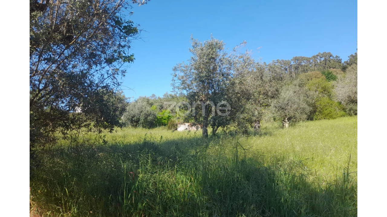 Terreno para Venda em Alvaiázere Foto 8