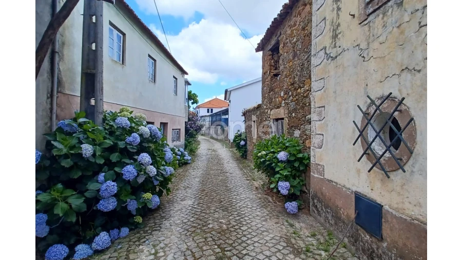 Quinta T6 para Venda em Friúmes e Paradela Foto 20