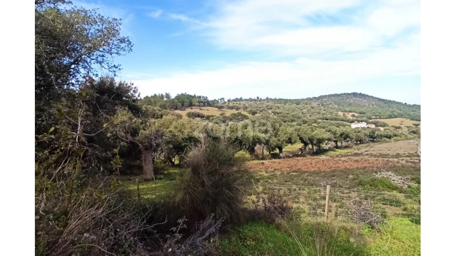 Prédio para Venda em Santa Maria de Marvão Foto 6