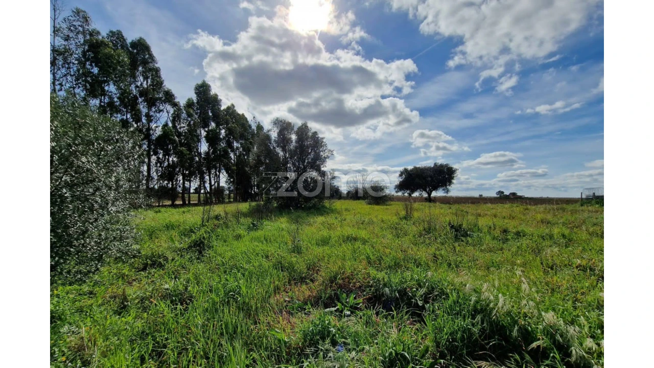 Quinta T3 para Venda em Ferreira do Alentejo e Canhestros Foto 2