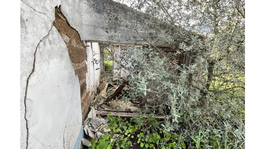 Quinta T3 para Venda em Ferreira do Alentejo e Canhestros Foto 4