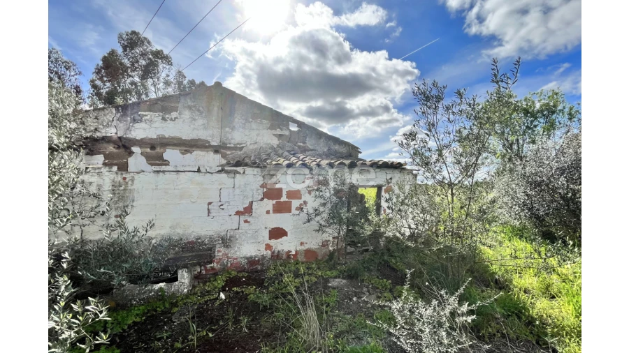 Quinta T3 para Venda em Ferreira do Alentejo e Canhestros Foto 7