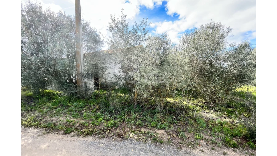 Quinta T3 para Venda em Ferreira do Alentejo e Canhestros Foto 9