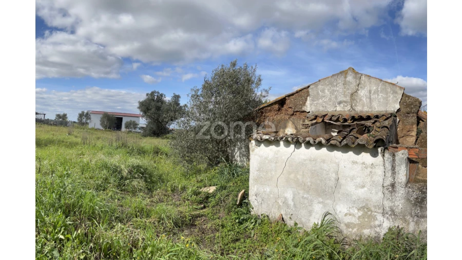 Quinta T3 para Venda em Ferreira do Alentejo e Canhestros Foto 13