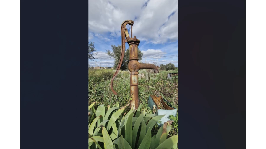 Quinta T3 para Venda em Ferreira do Alentejo e Canhestros Foto 6