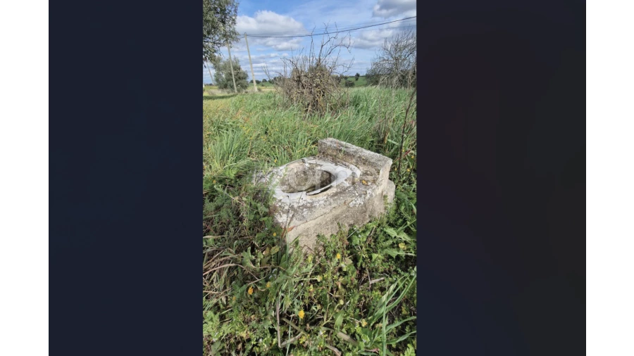 Quinta T3 para Venda em Ferreira do Alentejo e Canhestros Foto 5