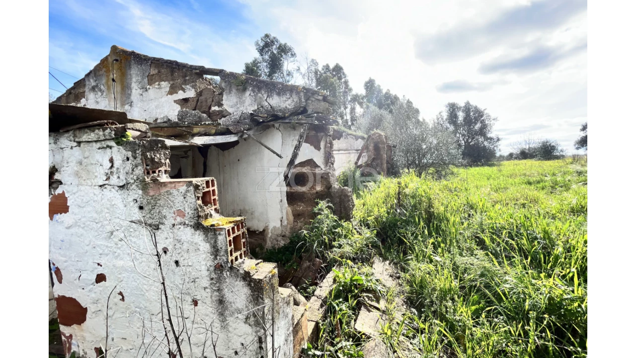 Quinta T3 para Venda em Ferreira do Alentejo e Canhestros Foto 8