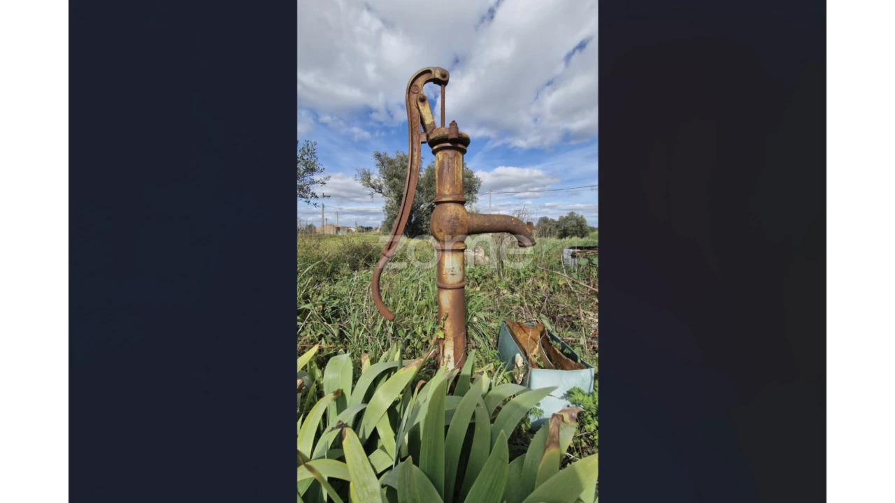 Quinta T3 para Venda em Ferreira do Alentejo e Canhestros Foto 6