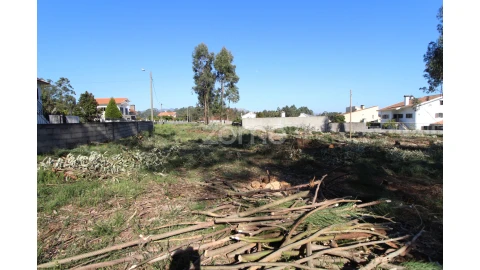 Terreno para Venda em Alvarães