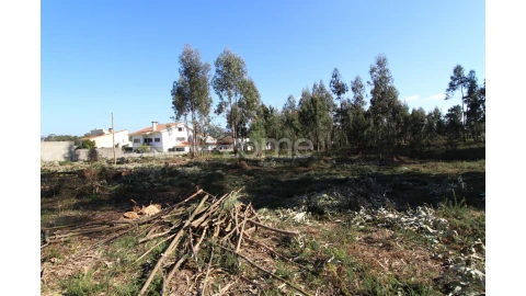 Terreno para Venda em Alvarães