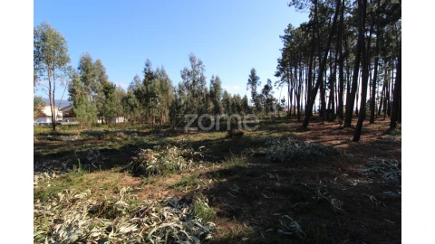 Terreno para Venda em Alvarães