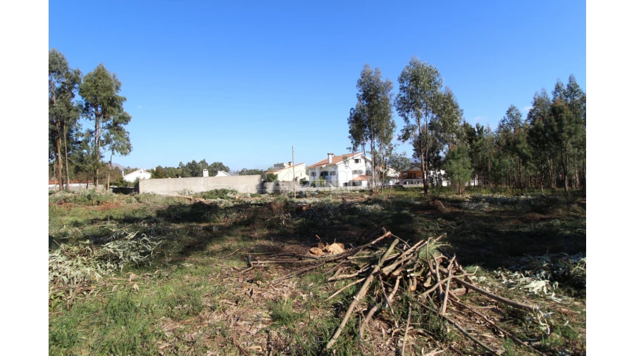 Terreno para Venda em Alvarães Foto 8