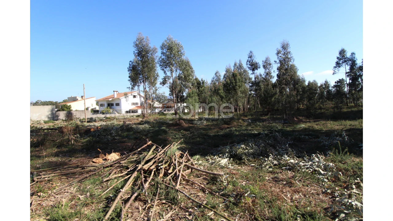 Terreno para Venda em Alvarães Foto 4