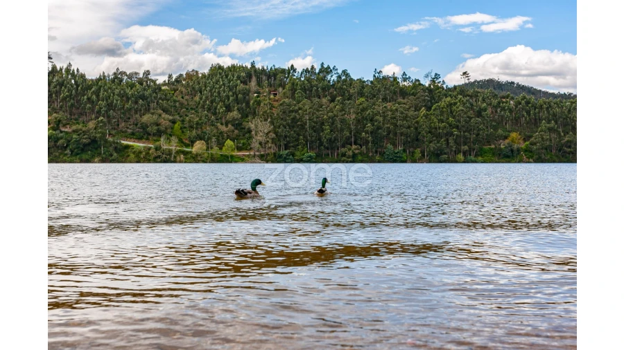 Terreno para Venda em Melres e Medas Foto 21