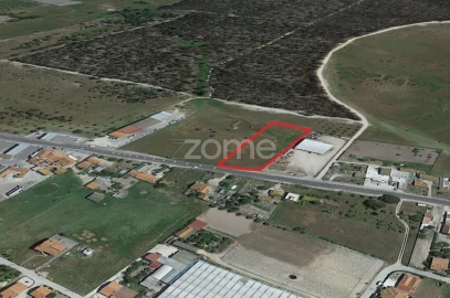 Terreno para Venda em Canha