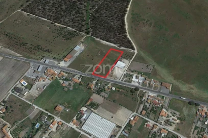 Terreno para Venda em Canha