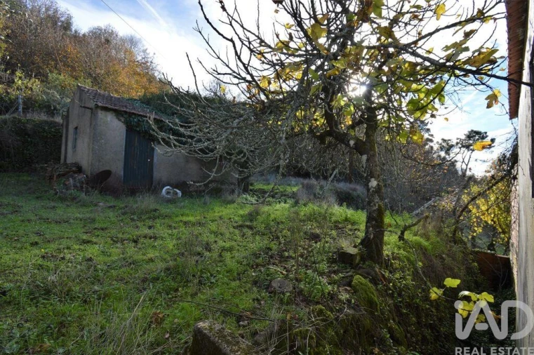 Moradia T2 para Venda em Espinhal Foto 23