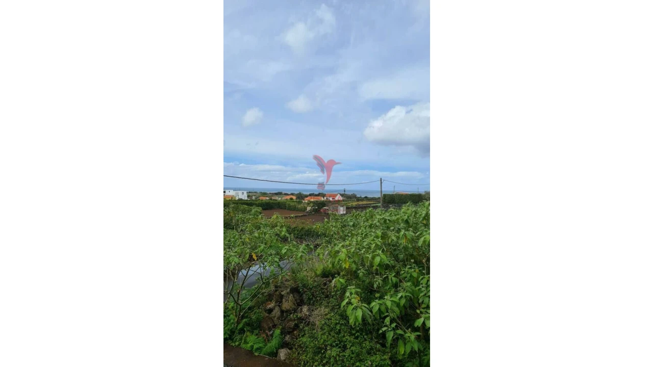 Terreno para Venda em Biscoitos Foto 6